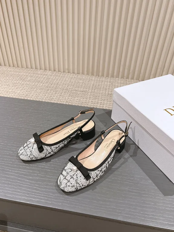 Dior Shoe 